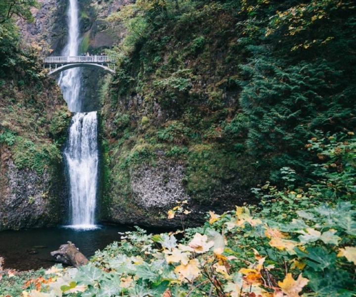 Portland: Columbia River Gorge Waterfalls Afternoon Tour