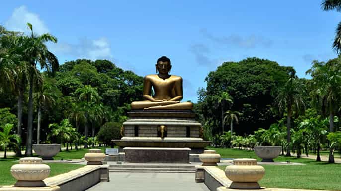 from bentota day trip to colombo