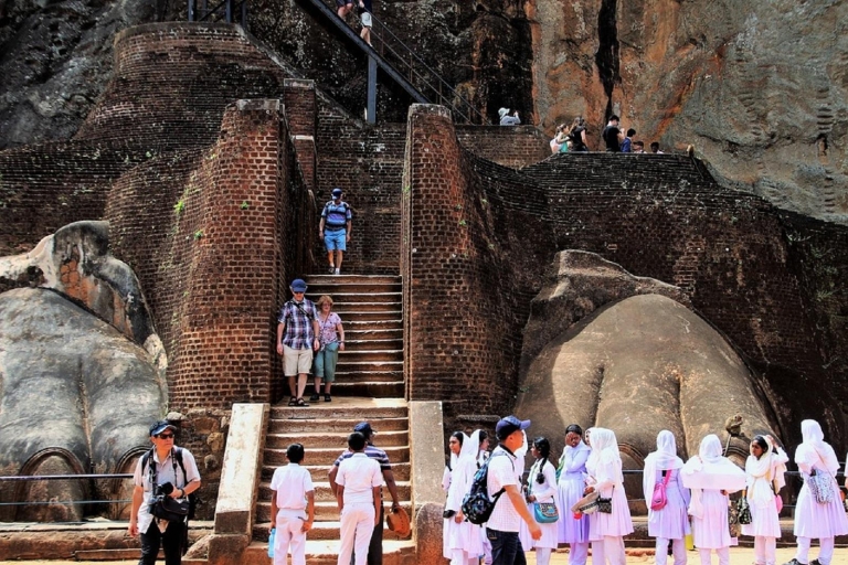 Ab Bentota: Tagestour Sigiriya & Dambulla-Tempel