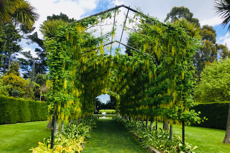 Dunedin: Peninsula with Lanarch Castle gardens & Olveston