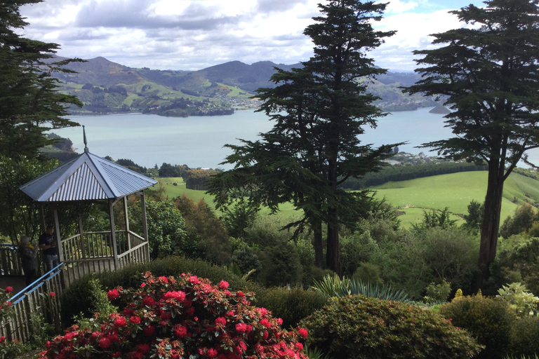 Dunedin: Peninsula with Lanarch Castle gardens & Olveston