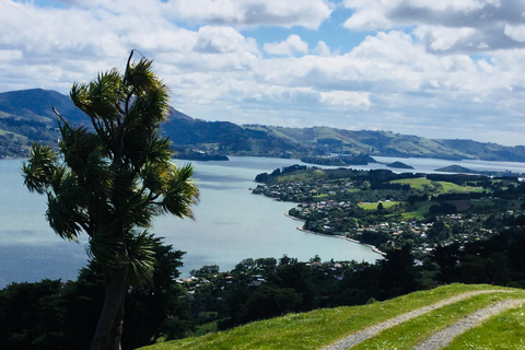 Dunedin: Peninsula with Lanarch Castle gardens & Olveston
