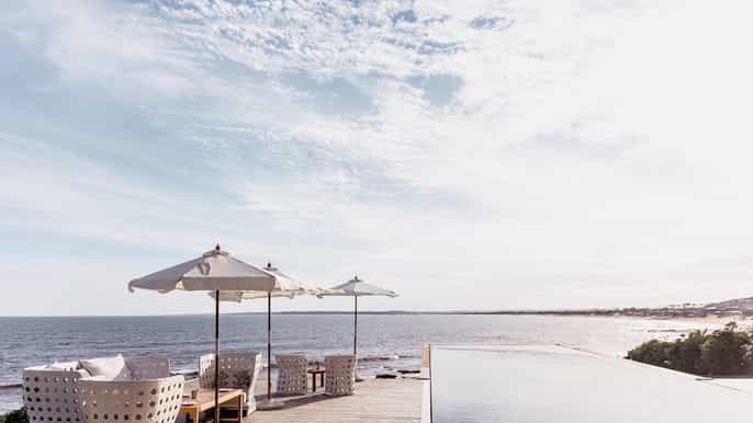 punta del este almoço gourmet c/ vinho em josé ignacio