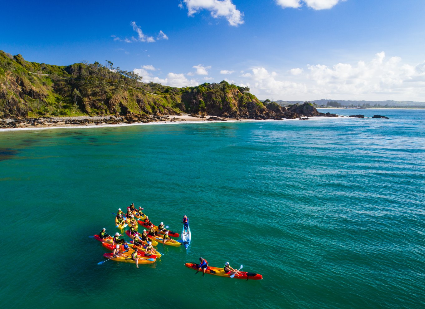 Byron Bay: Havkajaktur med delfiner og skildpadder