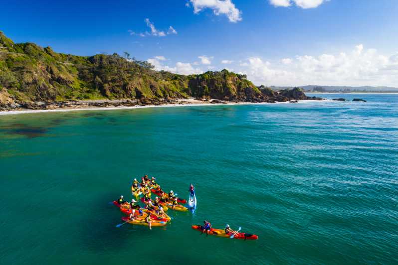 Byron Bay : kayak de mer avec dauphins et tortues