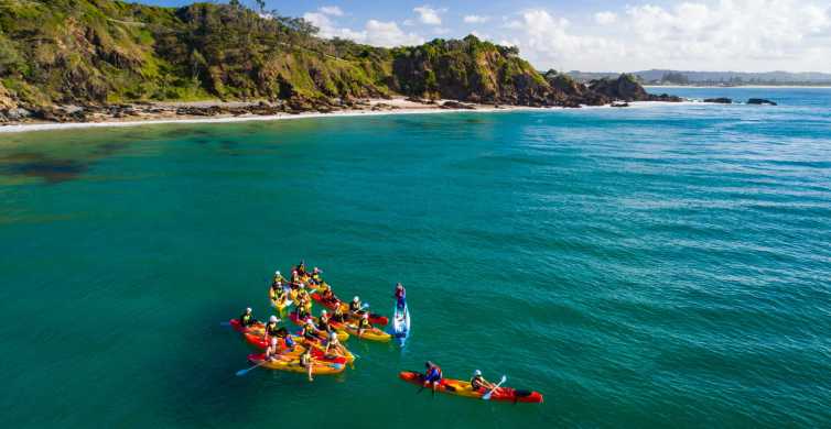 Byron Bay Sea Kayak Tour with Dolphins and Turtles