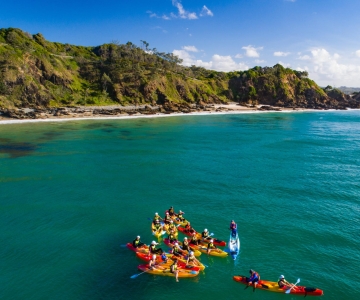 Byron Bay: Sea Kayak Tour con delfini e tartarughe