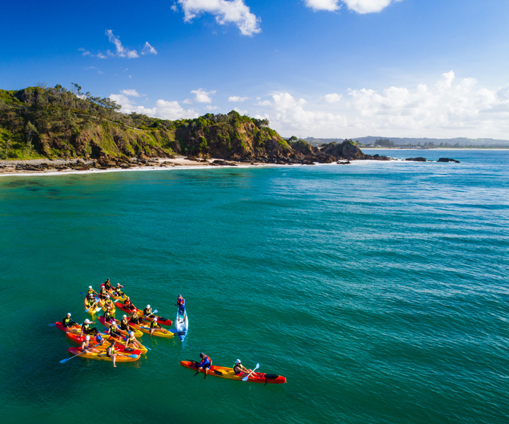 Byron Bay: Sea Kayak Tour with Dolphins and Turtles