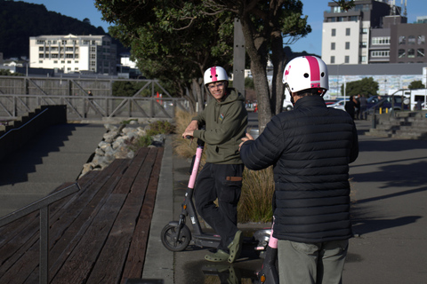 Wellington: Tour guidato in E-Scooter o E-Bike Māori Cultural