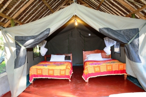 Nairobi: 4-daagse Maasai Mara en Lake Nakuru kampeersafari3 nachten / 4 dagen Maasai Mara & Nakuru met bezoek aan Maasai Village