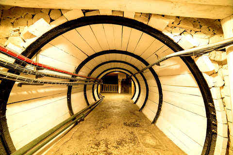 从克拉科夫出发：维利奇卡盐矿半日游从克拉科夫出发：维利奇卡盐矿之旅（带私人司机）