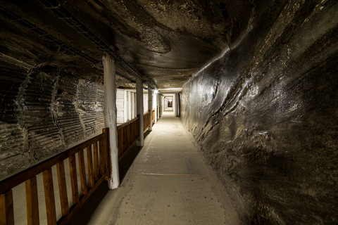 从克拉科夫出发：维利奇卡盐矿半日游从克拉科夫出发：维利奇卡盐矿之旅（带私人司机）