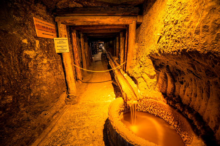 从克拉科夫出发：维利奇卡盐矿半日游从克拉科夫出发：维利奇卡盐矿之旅（带私人司机）