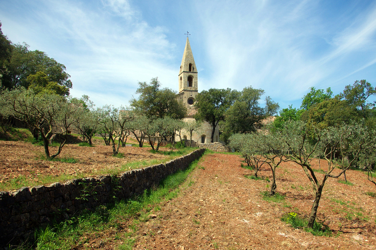 Visite privée des églises de Provence et de la campagne française