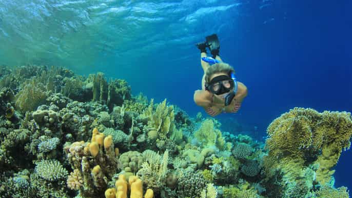 de marsa alam passeio de barco com snorkel no mar marsa mubarak