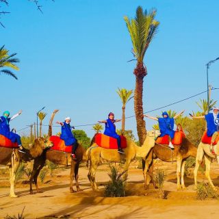Marrakech: Passeio de Camelo ao Pôr do Sol no Palmeiral