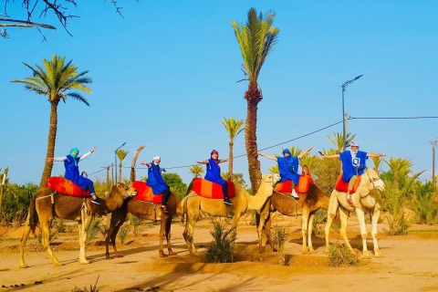 Marrakech : balade en chameau Palmeraie au coucher du soleilMarrakech : balade en chameau à la Palmeraie