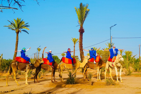 Marrakech : balade en chameau Palmeraie au coucher du soleilMarrakech : balade en chameau à la Palmeraie