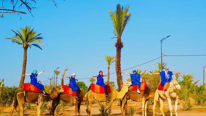 marrakech passeio de camelo ao pôr do sol no palmeiral