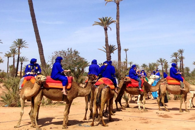 Marrakech: paseo en camello al atardecer en Palmeraie