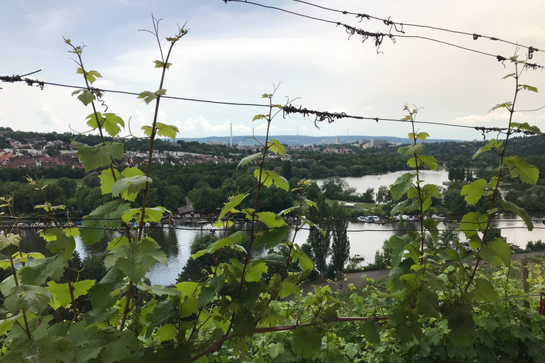 From Stuttgart: Wine Tour to Bad Cannstatt