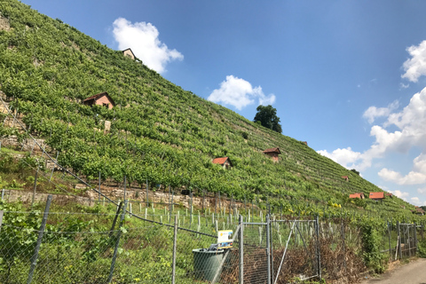 From Stuttgart: Wine Tour to Bad Cannstatt