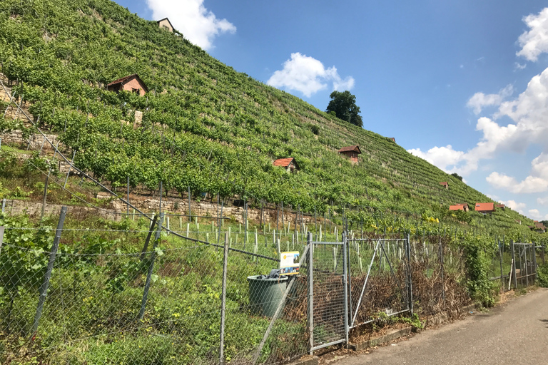 From Stuttgart: Wine Tour to Bad Cannstatt