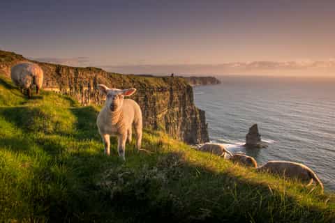 cliffs of moher visitor experience ticket