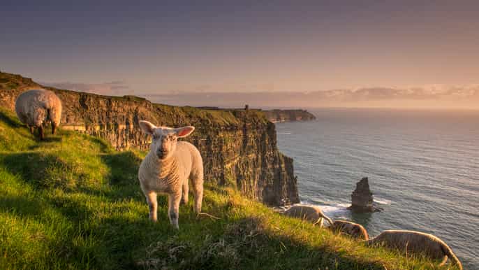 Acantilados de Moher: ticket de experiencia de visitante
