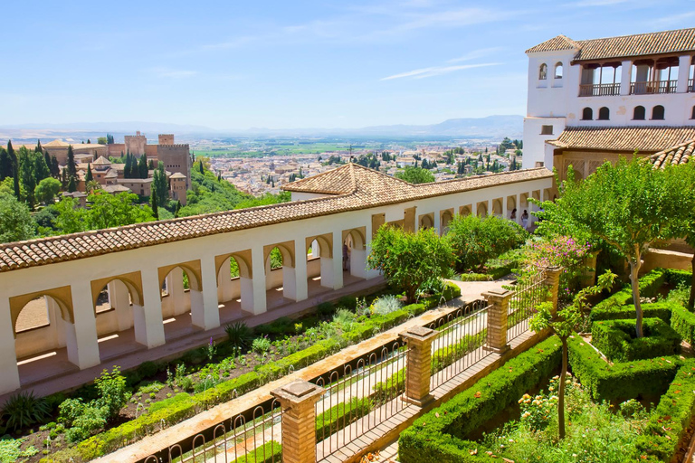 Alhambra, Nasrid Palaces and Albaicin Tour Tour in Spanish