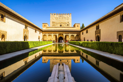 Alhambra, Nasrid Palaces and Albaicin Tour Tour in Spanish