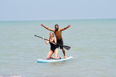 Cartagena: noleggio di una tavola da paddle di un&#039;ora o lezione privata1 ora di noleggio paddleboard