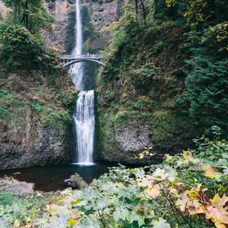 Portland: Mt. Hood Day Tour