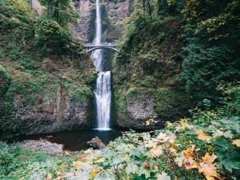 Ab Portland: Tagestour zum Mount Hood Ab Portland: Tagestour zum Mount Hood