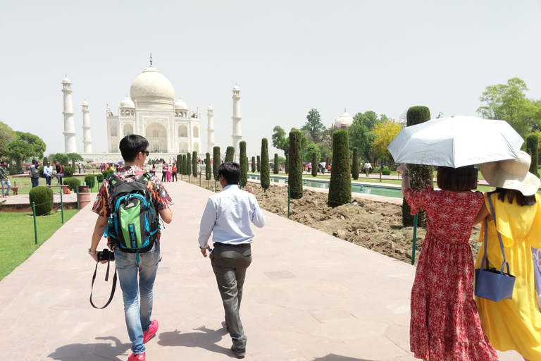 Från New Delhi: Heldagsutflykt till Taj Mahal i liten gruppRundtur med upphämtning och avlämning vid hotell