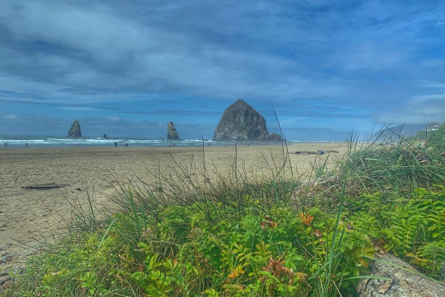 Visit Oregon Coast Day Tour Cannon Beach and Haystack Rock in Cannon Beach, OR