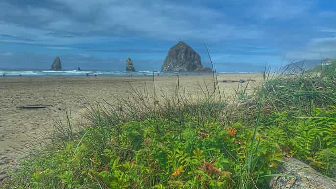 oregon coast day tour cannon beach and haystack rock