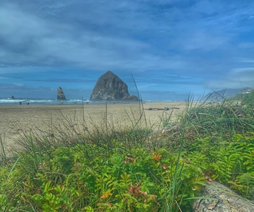 Oregon Coast Day Tour: Cannon Beach and Haystack Rock