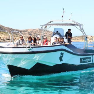 Calvi: Scandola and Girolata 6-Hour Boat Tour
