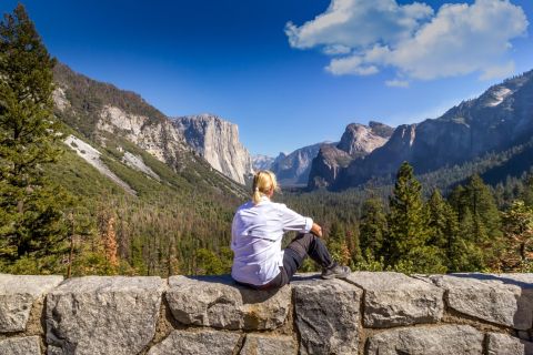 San Francisco till / från Yosemite National Park: 1-Way Transfer