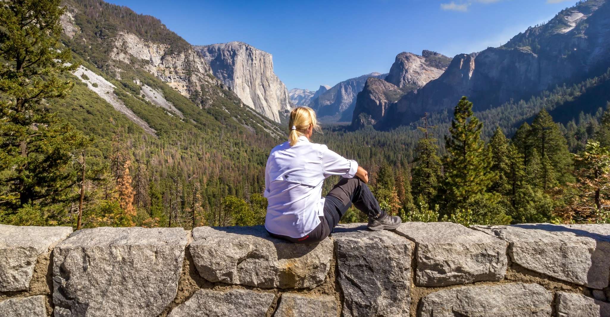 San Francisco'dan 3 Günlük Yosemite Ulusal Parkı Otobüs Turu - Hizvo