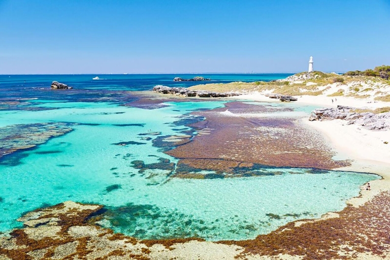 Rottnest Fortress Adventure Segway Package From Fremantle