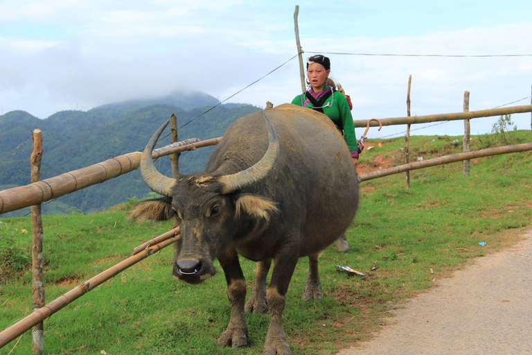 Hanoï : randonnée de 3 jours à Sapa avec famille d'accueilChambre partagée