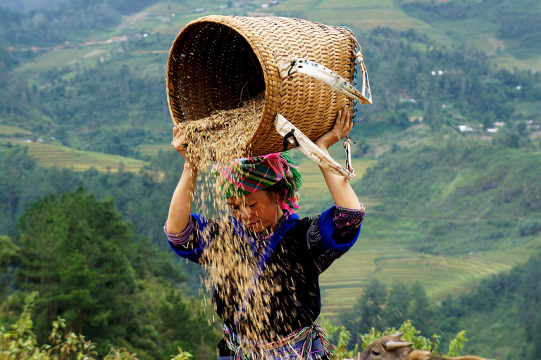 Hanoi: 3-dniowy trekking do Sapa z zakwaterowaniem u rodzinyDzielony pokój