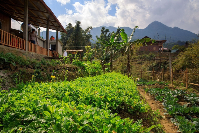 Hanoi: Excursión de 3 días a Sapa con estancia en familiaHabitación compartida