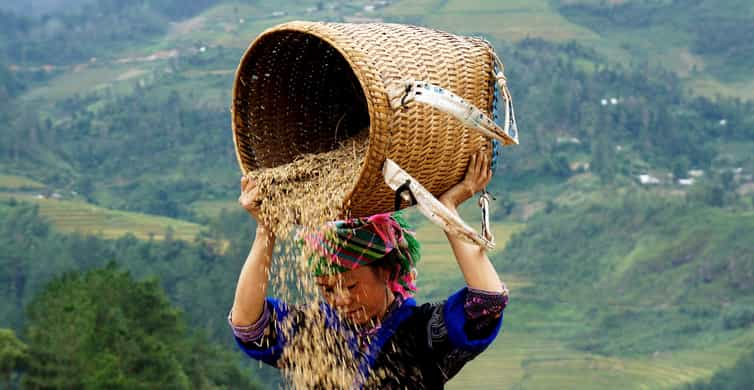 From Hanoi: 2-Day Sapa Cultural Exchange Tour with Homestay | GetYourGuide