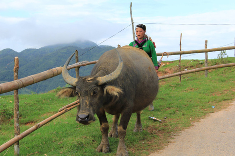 From Hanoi: 2-Day Sapa Cultural Exchange Tour with Homestay Share Room and Meeting Point Pickup