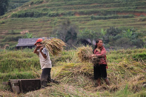 From Hanoi: 2-Day Sapa Cultural Exchange Tour with Homestay Share Room and Meeting Point Pickup