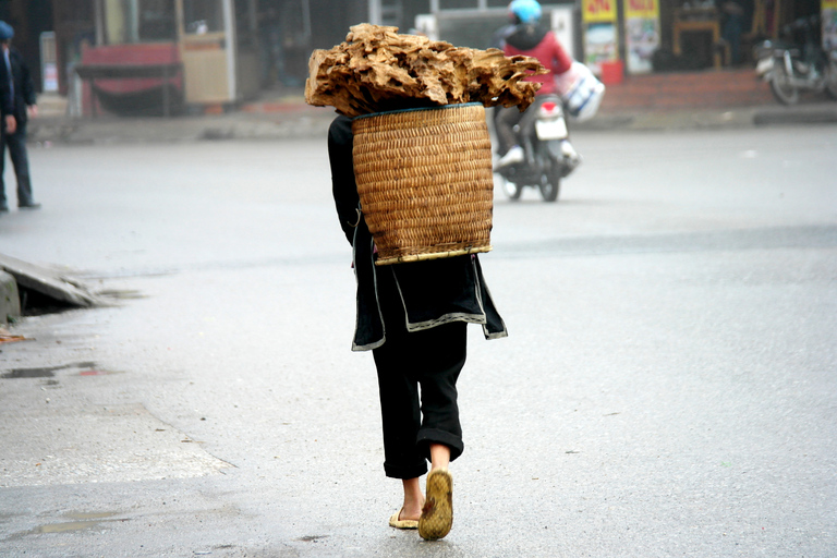 From Hanoi: 2-Day Sapa Cultural Exchange Tour with Homestay Share Room and Meeting Point Pickup