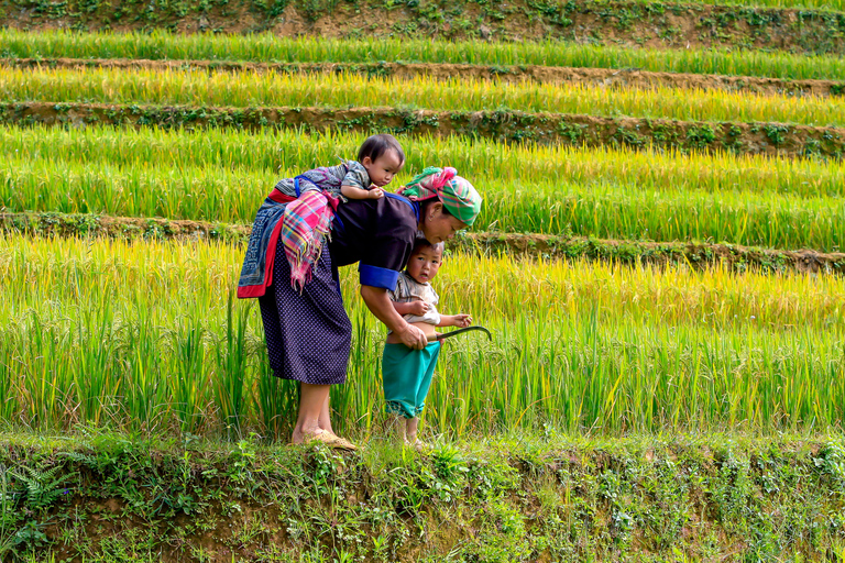 From Hanoi: 2-Day Sapa Cultural Exchange Tour with Homestay Share Room and Meeting Point Pickup